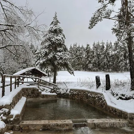 Marija Villa *