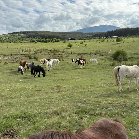 Marija * Livno
